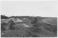 Harplinge socken, sanddyner