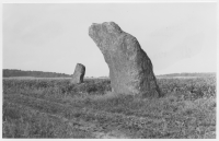 Bautastenar vid Tjärby, Örelids stenar
