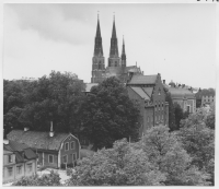 Uppsala domkyrka