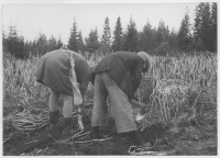 Råshult Södregård