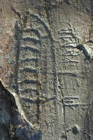 Image of Bo NIYR5;224