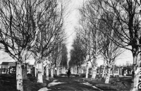 Piteå landsförsamlings kyrka (Öjebyns kyrka)