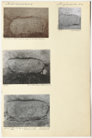 Stigtomta kyrka. Runsignum Sö 48