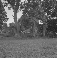 Tierp, Husbyborgs kyrkoruin