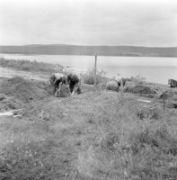 Ormsjön, Fjällsjöälven