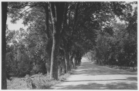 Landsvägen mellan Sköllersta och Kävesta