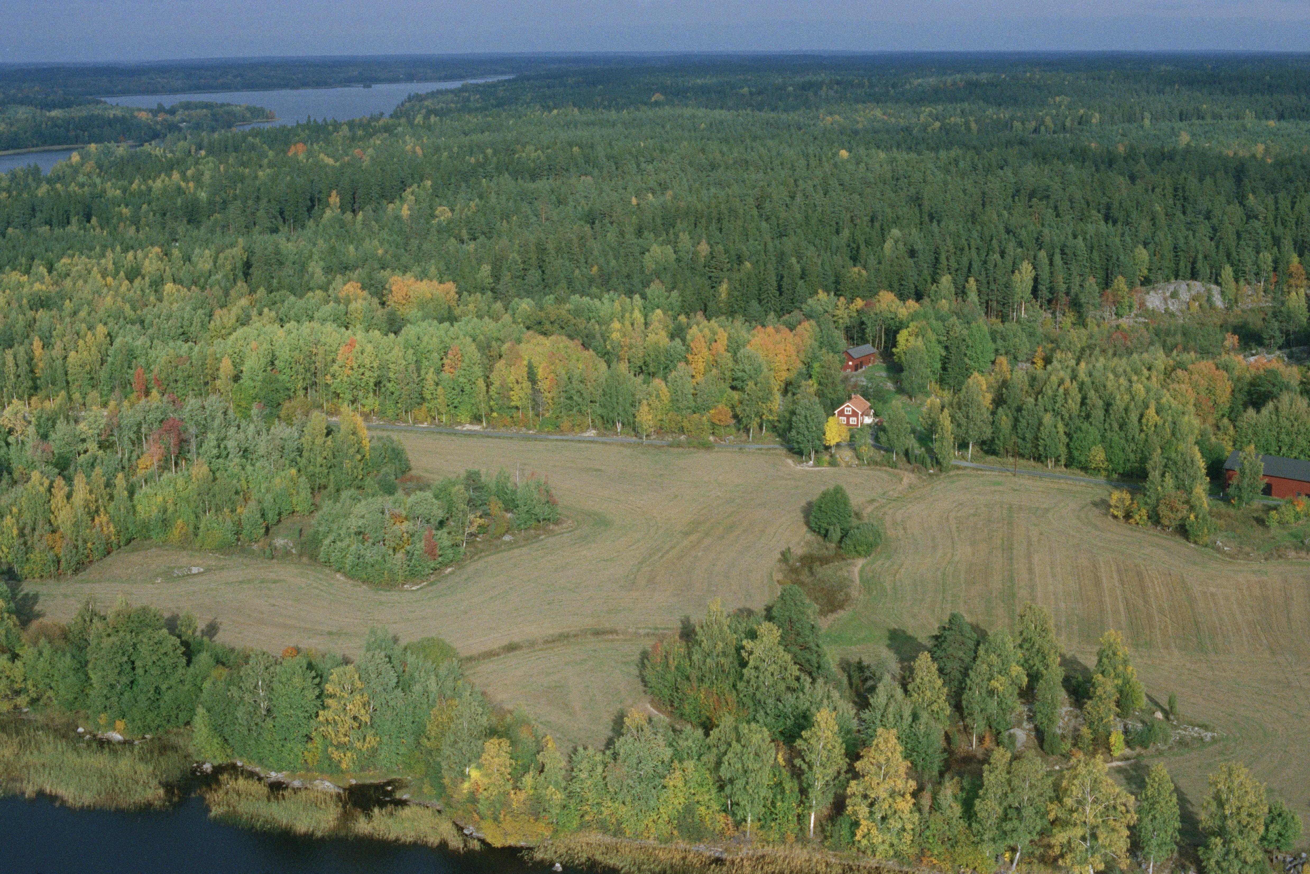 Jan Norrman, Näshulta 99:1