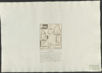 Cippi runici in Medelpadia Sveciae provincia boreali.[Bild]