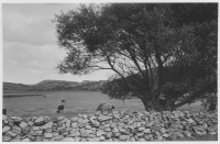 Mellan Orrekläpp och Grebbestad