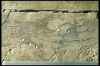 Image of Or Barnes16