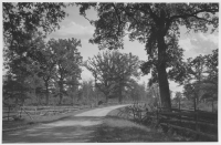 Landsvägen mellan Göksholm och Stora Mellösa