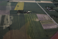 Larv (osäkert motiv)