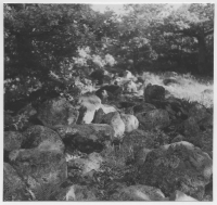 Eskilstuna, Djurgården