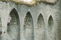 Image of Ög HedvallMenander473