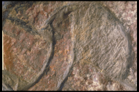 Image of Öl Köping24