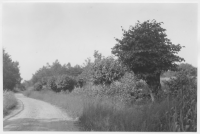 Vägen Urshult-Sirkön