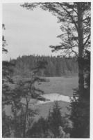 Femsjö socken, myrmark