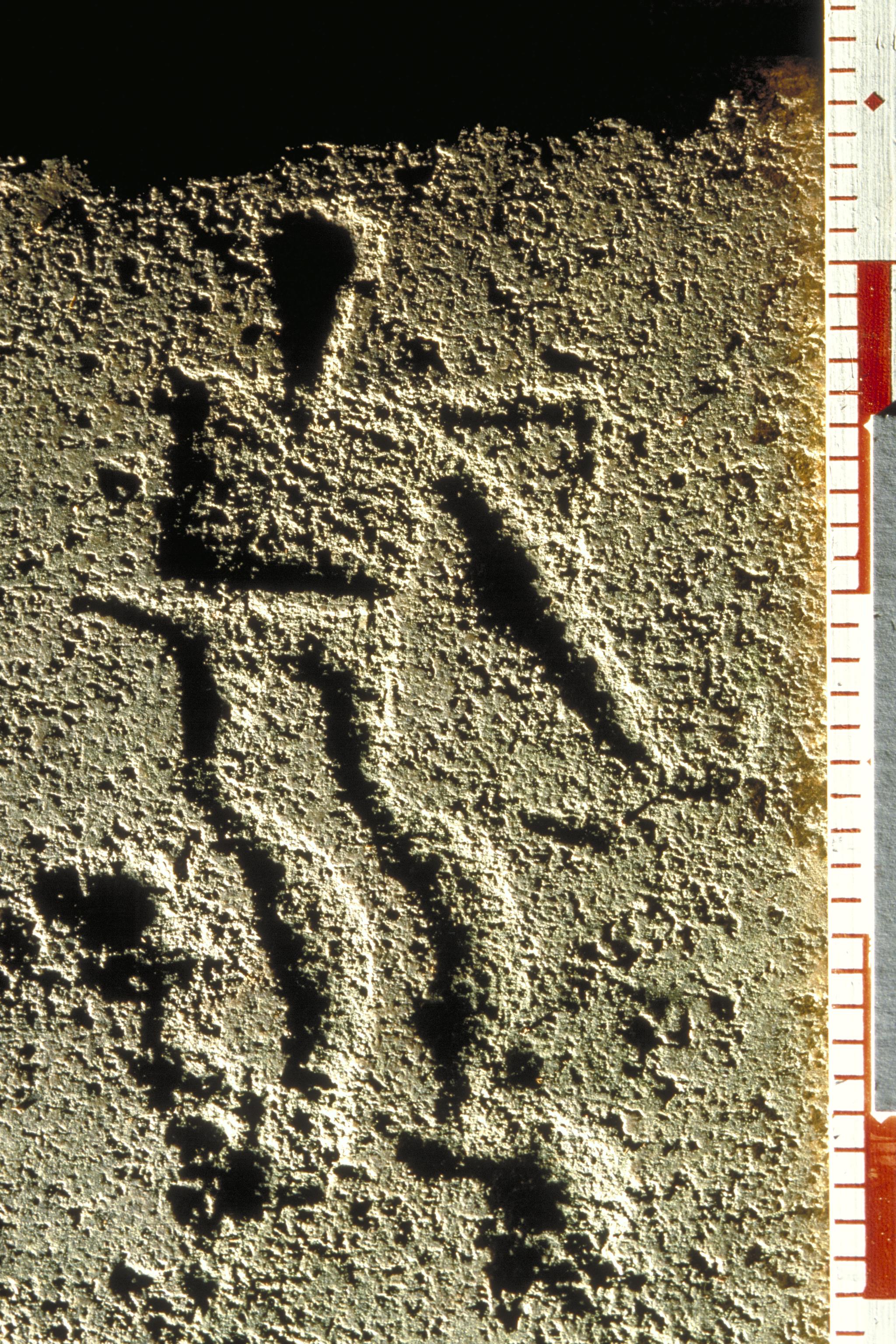 Bengt A Lundberg, Tanum 225:1