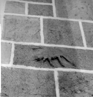 Image of DR EM85;432G