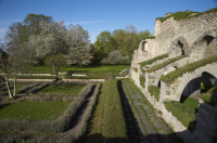 Image of Ög HedvallMenander473