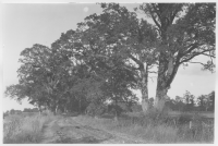 Värnanäs herrgård