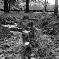 Stora Kils ödekyrkogård