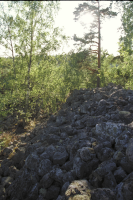 Fornborgen Stora Skansen