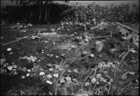 Alvastra pålbyggnad