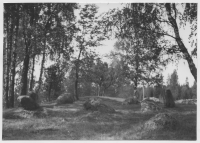 Tormansbål, järnåldersgravfält