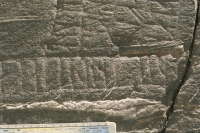 Image of Ög N288