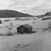 Andersören, Indalsälven