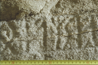 Image of Vr NOR1994;27