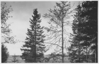 Hjortsberga, stensättningar