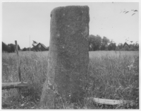 Kinneveds socken, runsten