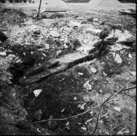 Mariefred, Kartusianerklostrets ruin