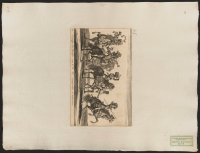 14. Banerföraren herr Hastfer med Hans Kungl. Maj:ts pukslagare och trumpetare