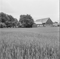 Ängstorp, gård 110