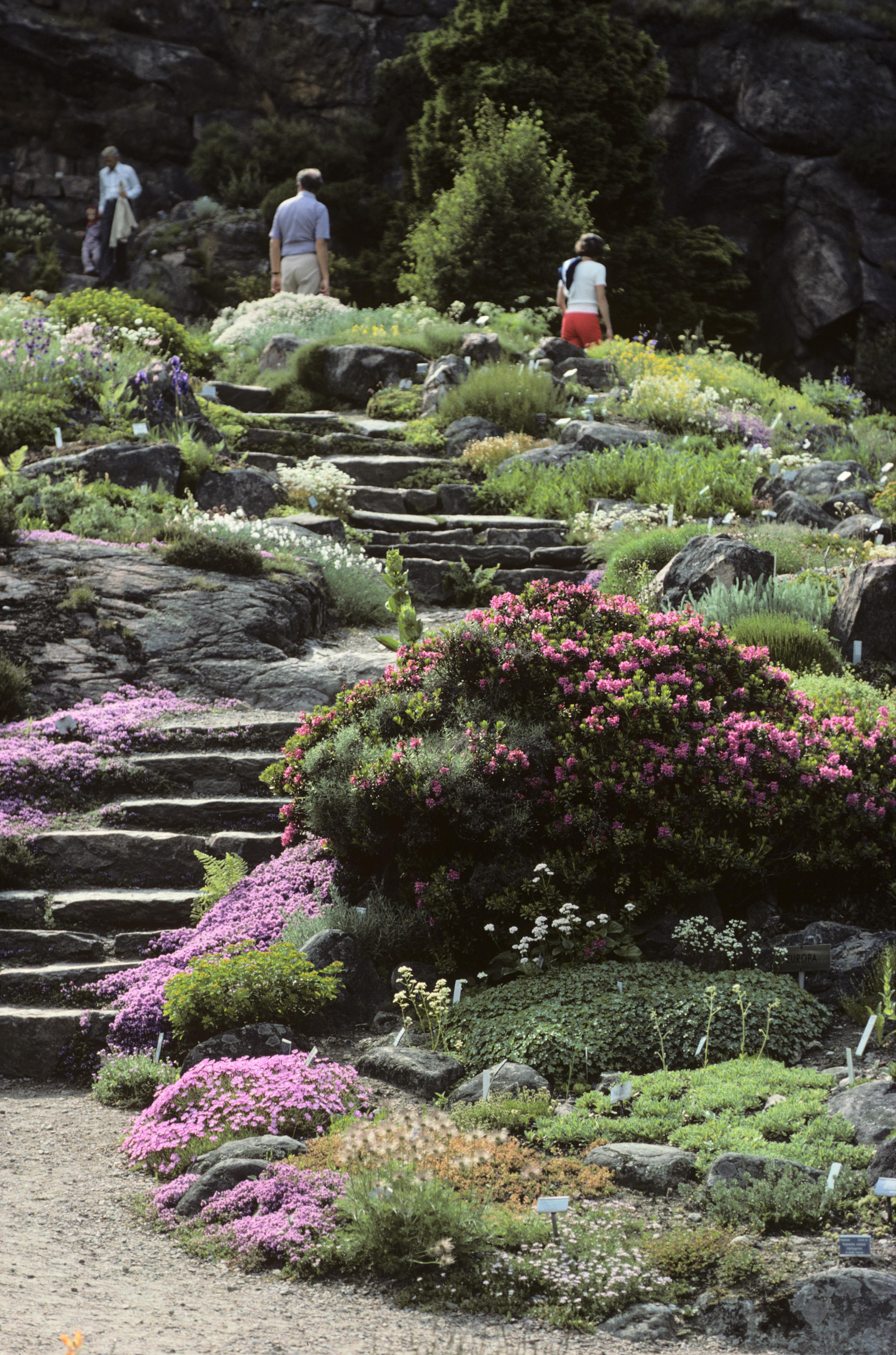 Pål-Nils Nilsson, Botaniska trädgården, Göteborg