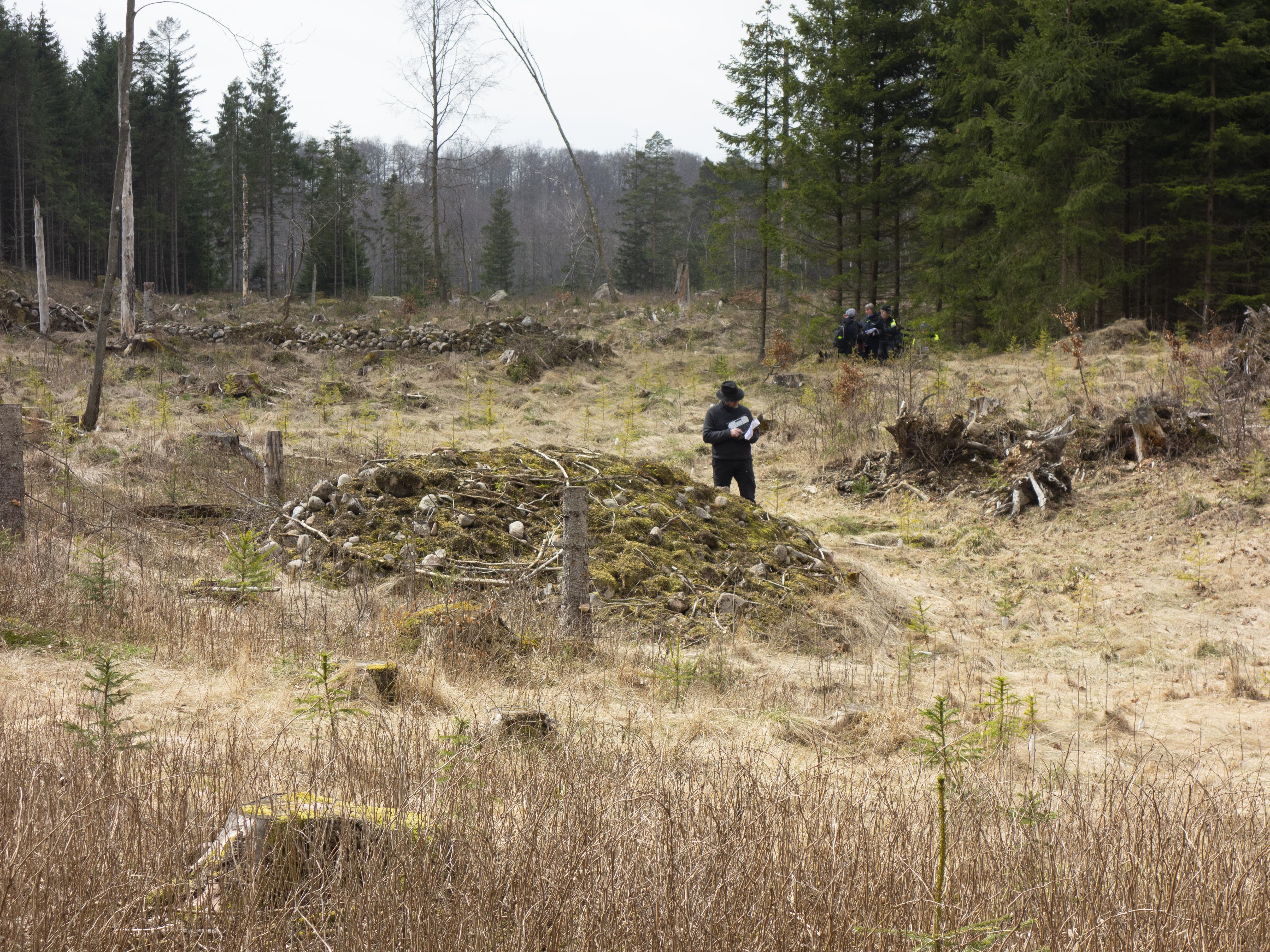 Leif Gren, Femsjö 71:1