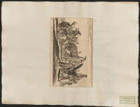 43. Hans övriga hästar