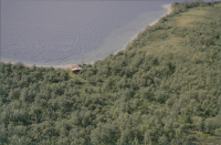 Rautasjaure - Bárddáluokta