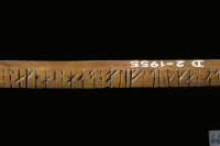 Image of DR EM85;493