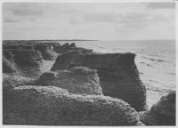 Byerum, kambrosilurens möte med havet