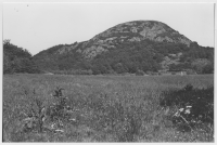 Romelanda socken, åker