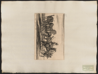 31. Hans övriga hästar