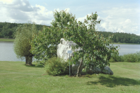 Image of Sö 197