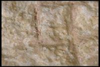 Image of Öl ATA4701/43