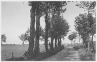 Landsvägen Falköping-Kleva