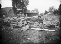 Varnhems klosterruin