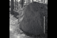 Image of Sö 56